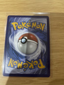 Leafy Camo Poncho - 214/195 - Secret Rare - Pokémon Silver Tempest